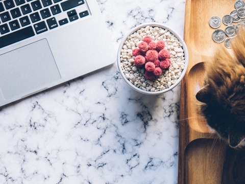 注冊美國公司選哪個(gè)州？特拉華與加州稅務(wù)差異達(dá)2萬美元